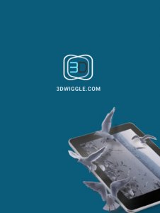 3DWiggle banner.